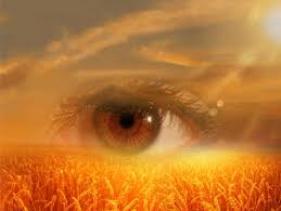 Eye Logo